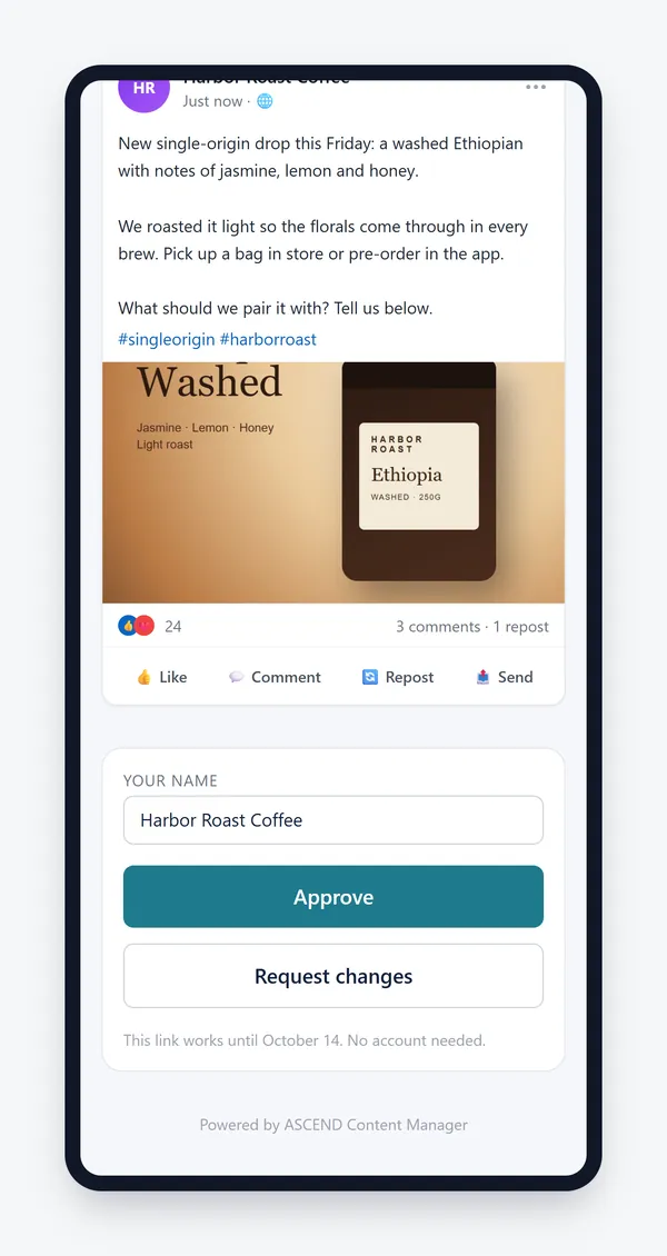 A client approving a post from their phone before it is published